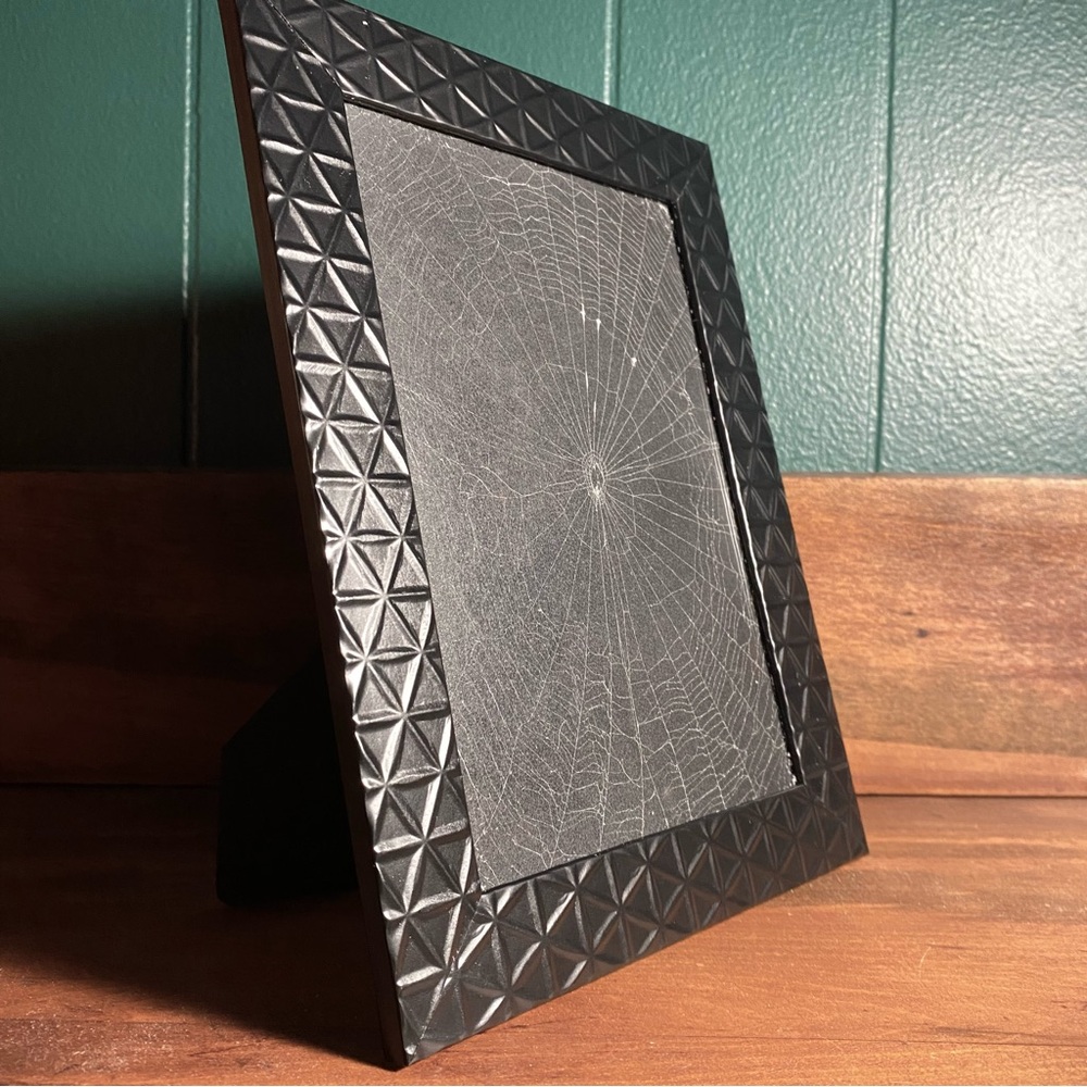Real Spiderweb Frame 🕷️ 🕸️ - Picture 5 of 7